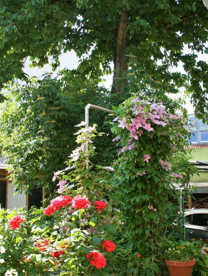Herrenhof Вормс Екстериор снимка